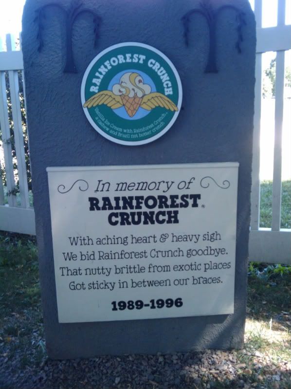 2010-08-29112425.jpg