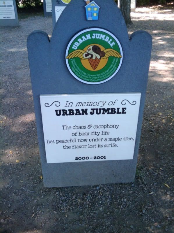 2010-08-29112502.jpg