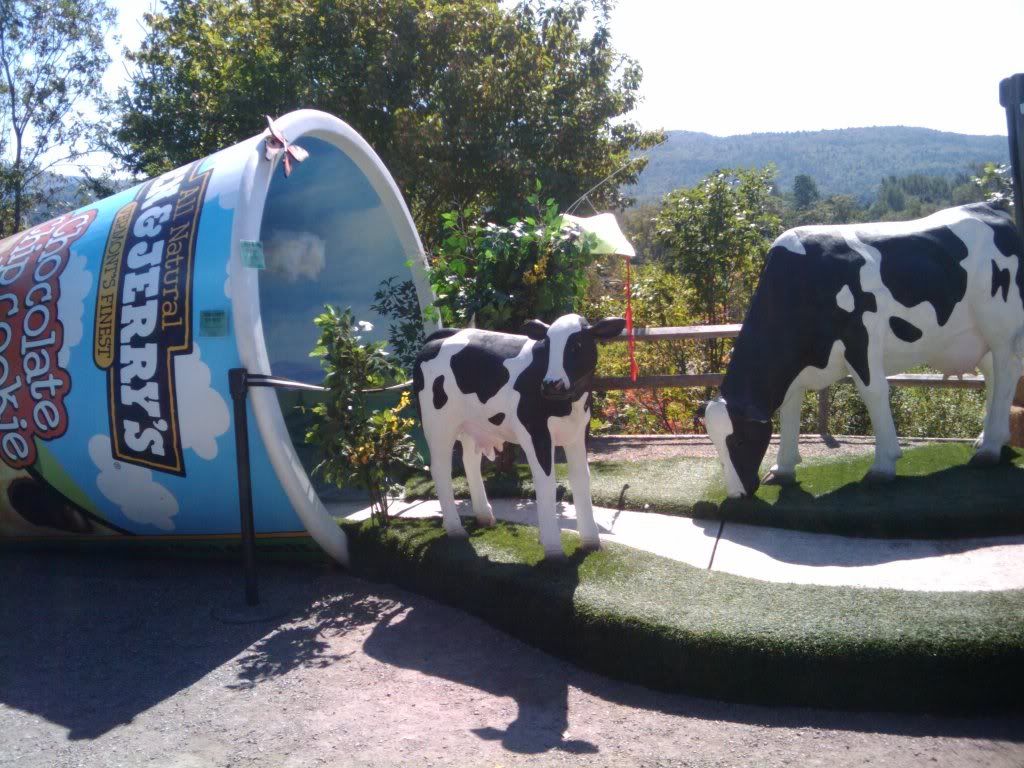 2010-08-29112956.jpg