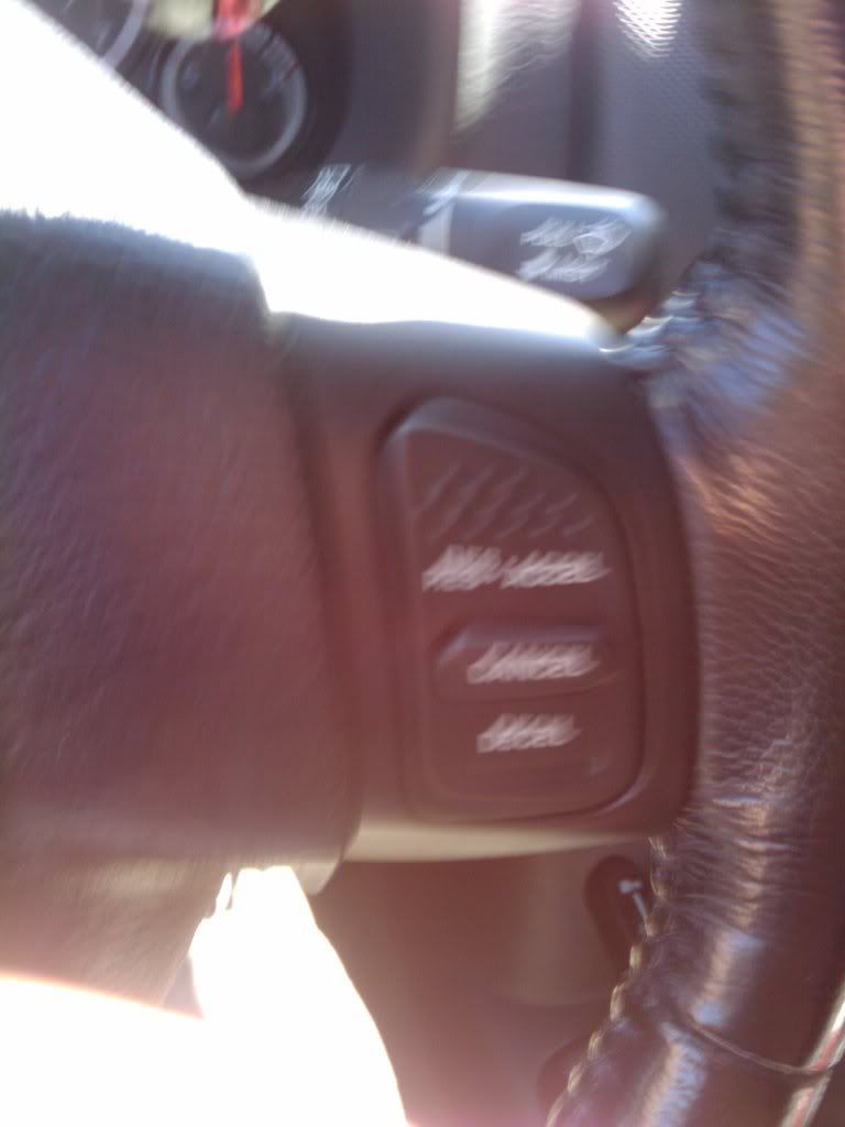 2010-08-29125151.jpg