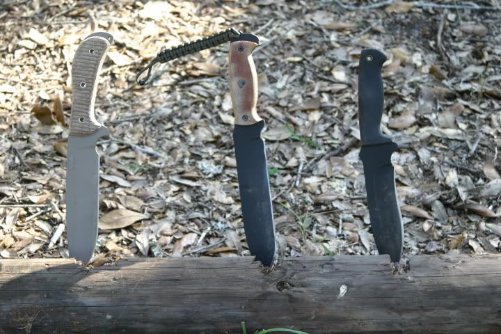 [Linked Image from i241.photobucket.com]