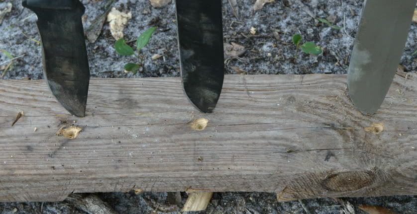 [Linked Image from i241.photobucket.com]