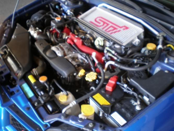 07 sti motor rebuild ( my 3rd motor ) - Subaru Impreza WRX STI Forums