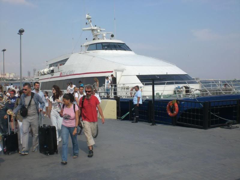 resized_A47.jpg