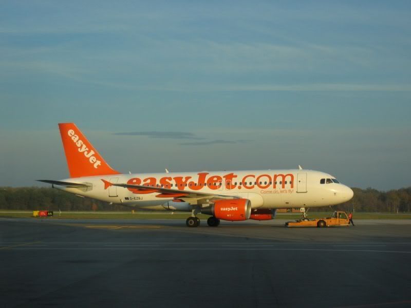 Lis004.jpg