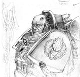 th_Salamanders_Librarian_1.jpg