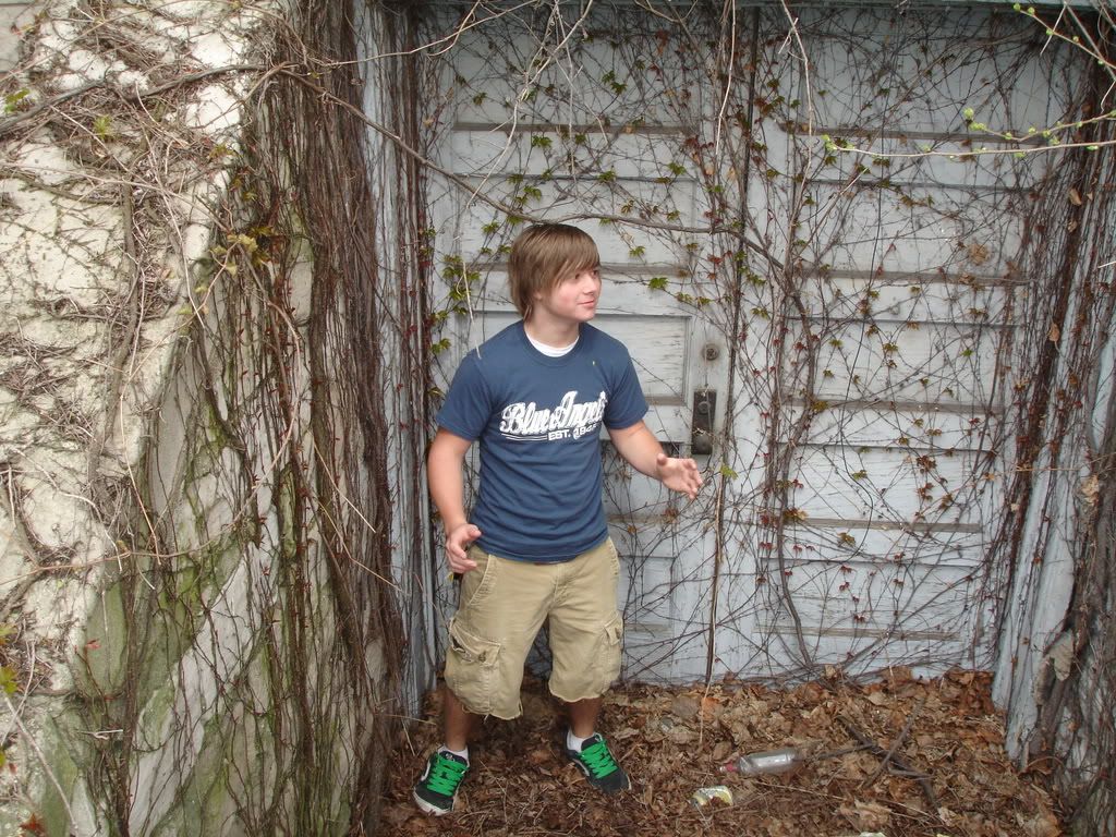 [Image: guitarkitty021.jpg]