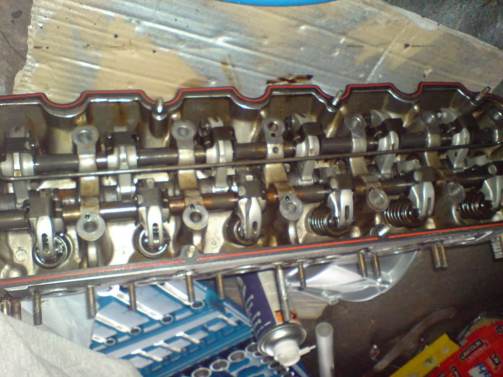 DSC00386.jpg