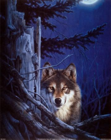 NA0102Lone-Wolf-Posters.jpg WOLF
image by SHANNON13SWINK