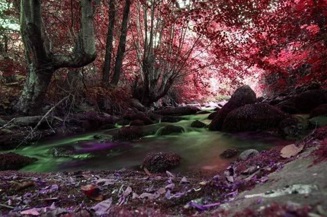 STREAM STREAM