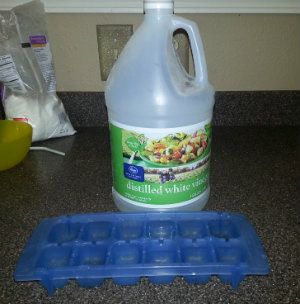 Making Vinegar Ice Cubes for the Garbage Disposal