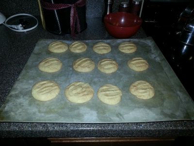 Snicker Doodles Fresh out of the Oven