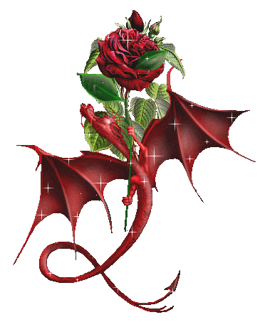 dragon,rose