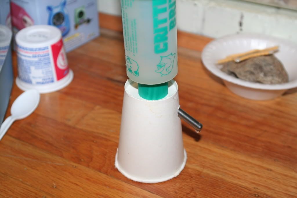 diy hamster bottle holder