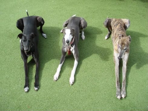 threegreys.jpg