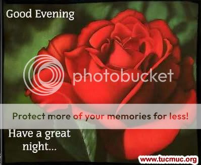 Good Evening Comments - 02 Pictures & Status for FB WhatsApp