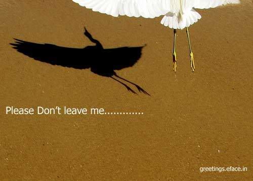 Dont leave me please Dont leave me please