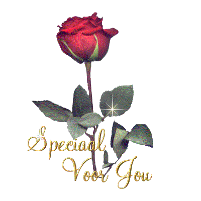 Special for you Special for you