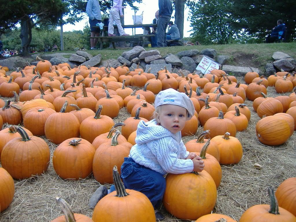 autumn4.jpg