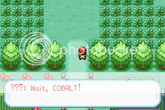 Pokémon: Dark Cobalt Version