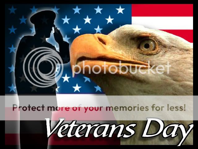 Veterans Day Pictures, Images and Photos