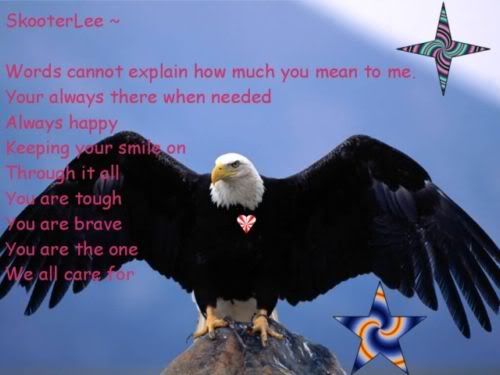 Bald Eagle